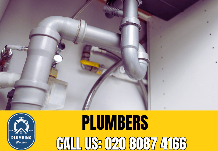  plumber Sundridge Park