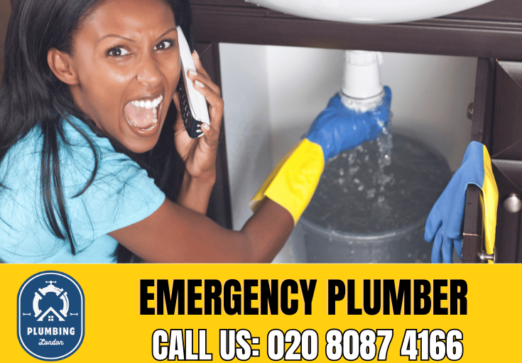 emergency plumber Bromley