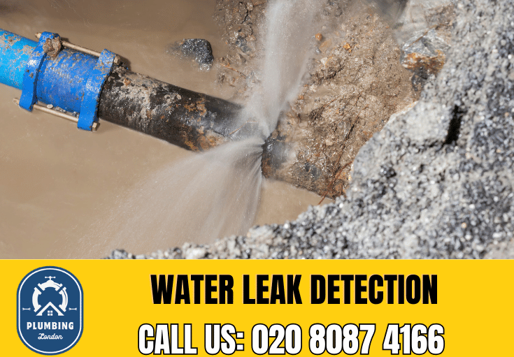 leak detection Bromley