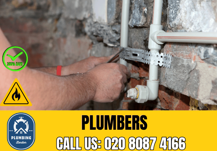  plumber Bickley